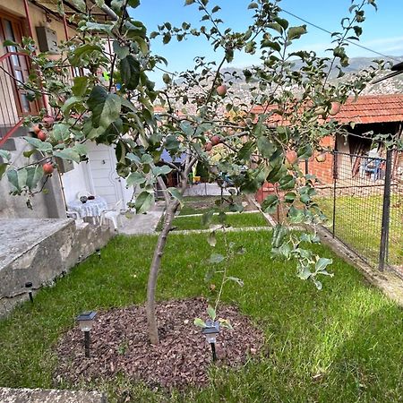 The Heart Of Sarajevo Apartman Kültér fotó