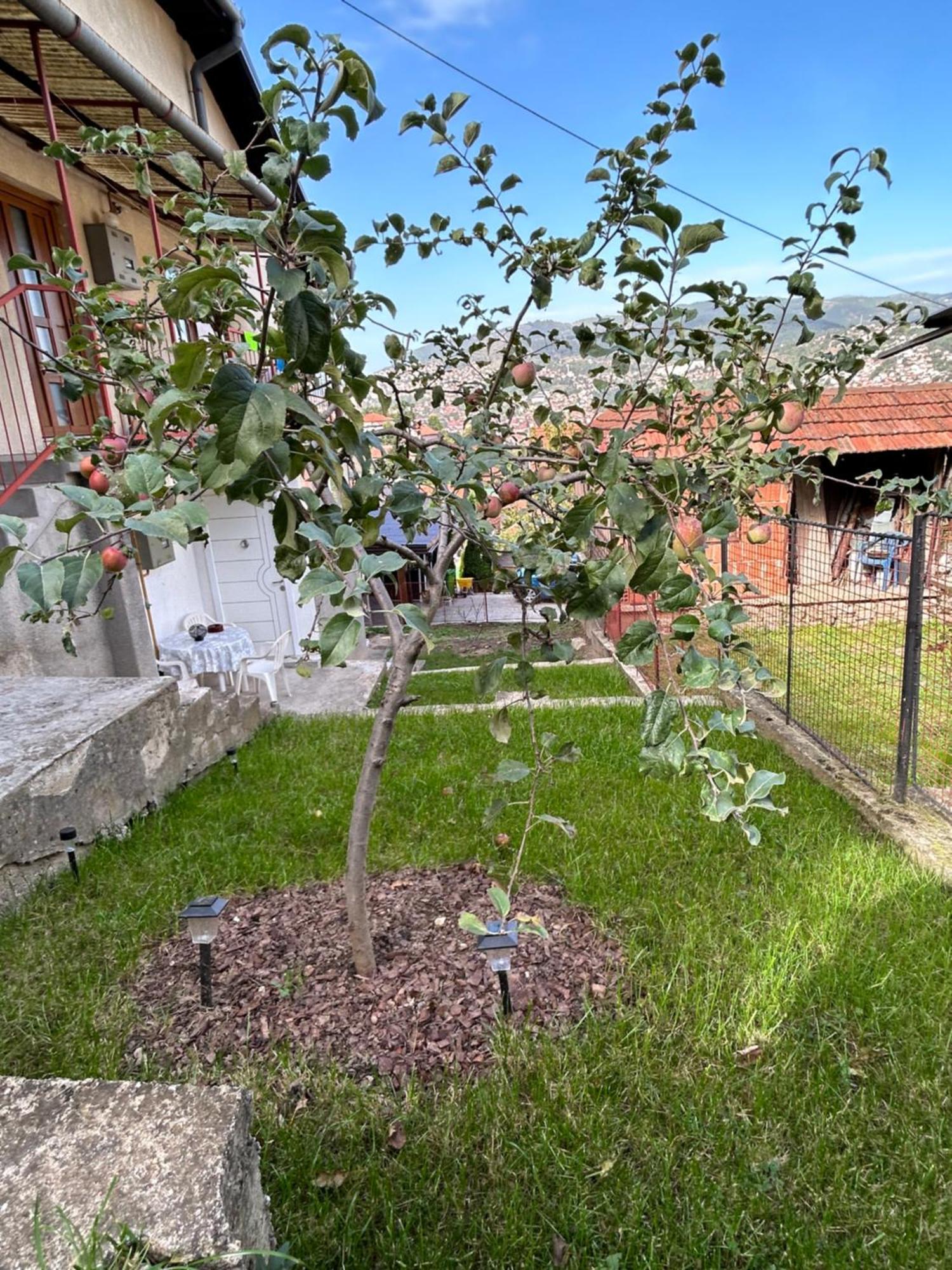 The Heart Of Sarajevo Apartman Kültér fotó